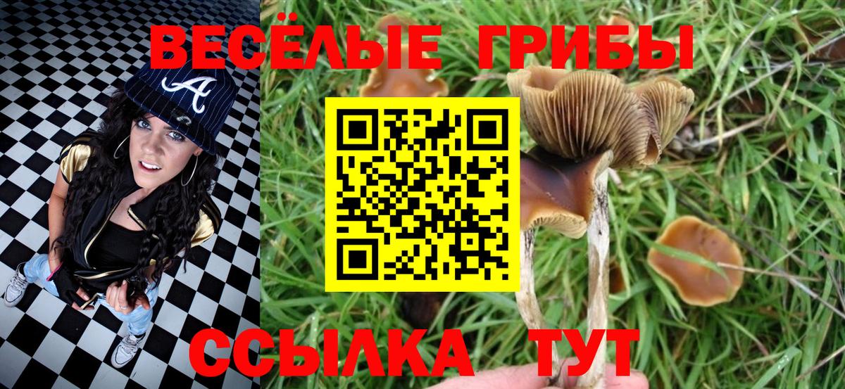 Псилоцибиновые грибы MAGIC MUSHROOMS  Галлюциногенные грибы мухоморы  Мценск  Вход с VPN 